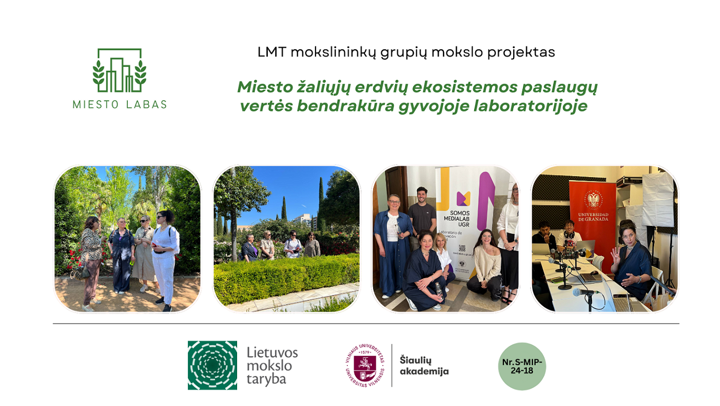 MiestoLABAS bendras maketas