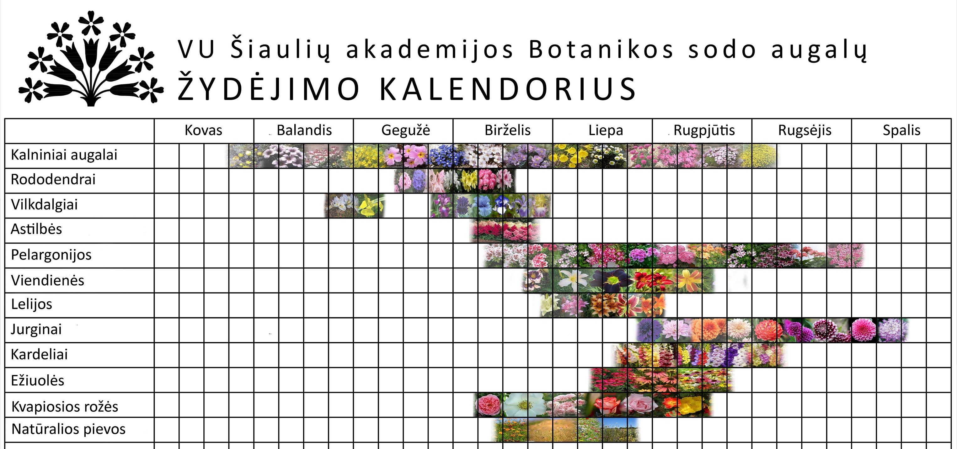 zydejimo kalendorius 2022